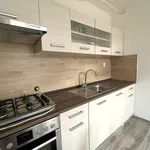 Rent 3 bedroom apartment of 58 m² in Teplice