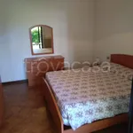 Rent 3 bedroom apartment of 80 m² in Silvi