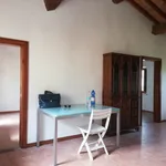 Rent 3 bedroom apartment in Firenze