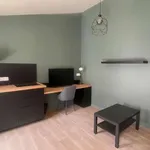 Appartement de 18 m² avec 1 chambre(s) en location à Saint-Étienne