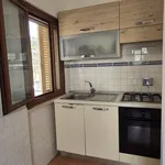 Rent 2 bedroom apartment of 50 m² in Roma