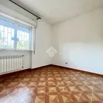 Rent 5 bedroom apartment of 1 m² in Palermo