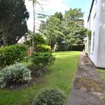 Rent 4 bedroom house in Cottingham