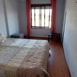 Rent 2 bedroom apartment in porto