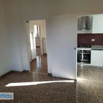 Rent 3 bedroom apartment of 75 m² in Bologna