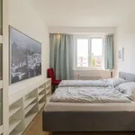 Miete 1 Schlafzimmer wohnung von 51 m² in Berlin