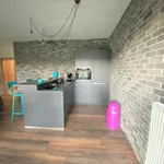 Rent 3 bedroom apartment in Prague