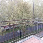 Rent 1 bedroom apartment of 40 m² in Torino