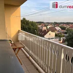 Rent 4 bedroom apartment of 91 m² in Poděbrady