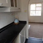 Rent 1 bedroom house in Leicester