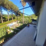 Rent 3 bedroom apartment of 110 m² in Roma