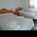 Rent 4 bedroom house in Murcia']