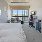 Rent 1 bedroom apartment in Wellington