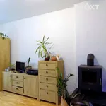 Pronájem bytu 2+1 55m²