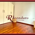 Rent 2 bedroom apartment of 60 m² in Milano