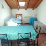 Rent 5 bedroom apartment of 100 m² in Bologna