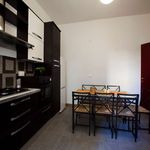 Rent a room of 166 m² in Milan