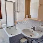 Rent 1 bedroom apartment of 50 m² in Legnano