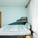 Miete 1 Schlafzimmer haus von 180 m² in Graz