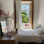 Rent 4 bedroom apartment in Lisbon