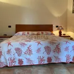 Rent 2 bedroom apartment of 50 m² in Santa Teresa Gallura