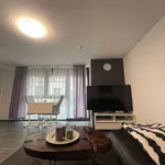 Spacious, amazing loft located in Böblingen, Boblingen - Amsterdam Apartments for Rent