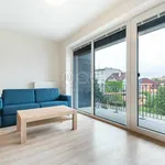 Rent 1 bedroom apartment in Plzeň