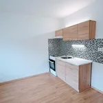 Rent 2 bedroom apartment of 33 m² in Ústí nad Labem