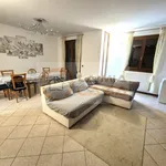 Rent 1 bedroom apartment of 150 m² in legnaro