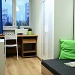 Rent a room in Katowice