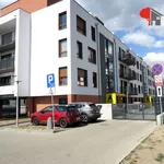 Rent 1 bedroom apartment of 31 m² in Poznan