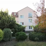 Rent 2 bedroom apartment of 41 m² in Brno