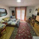 Rent 1 bedroom apartment of 27 m² in Harkány