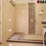 Rent 1 bedroom apartment of 43 m² in Brno