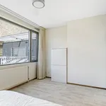 Huur 3 slaapkamer appartement van 90 m² in IJburg-West