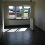 Rent 2 bedroom apartment in Dilbeek