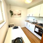 Rent 1 bedroom apartment of 42 m² in Dresden