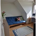 2 room attic apartment in Aarau (AG), furnished, temporary