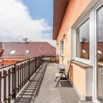 Rent 3 bedroom apartment of 120 m² in Praha