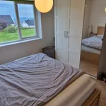 Rent 2 bedroom apartment of 55 m² in Trondheim