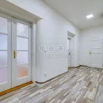 Rent 3 bedroom apartment of 82 m² in Plzeň