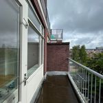 Boerhaavelaan, Schiedam - Amsterdam Apartments for Rent