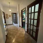 Rent 5 bedroom apartment of 181 m² in Foggia