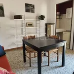 Rent 2 bedroom apartment of 40 m² in Milano