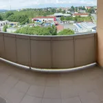 Rent 1 bedroom apartment in Přerov