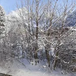 Rent 3 bedroom apartment of 55 m² in San Vito di Cadore