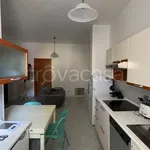 Rent 2 bedroom apartment of 55 m² in Bollate