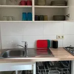 Rent 1 bedroom apartment in brussels