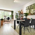 Rent 5 bedroom apartment in Delft