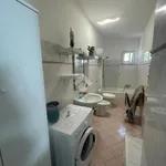 Rent 2 bedroom apartment of 1 m² in Roma